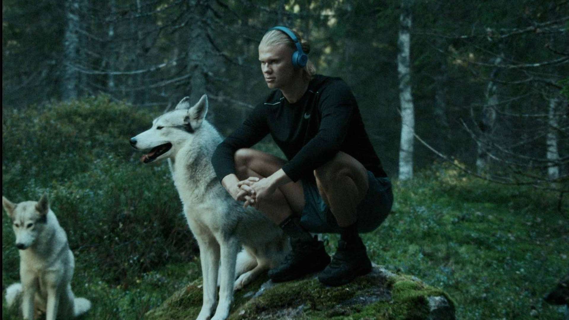 杂的赛事申 杂的赛事申