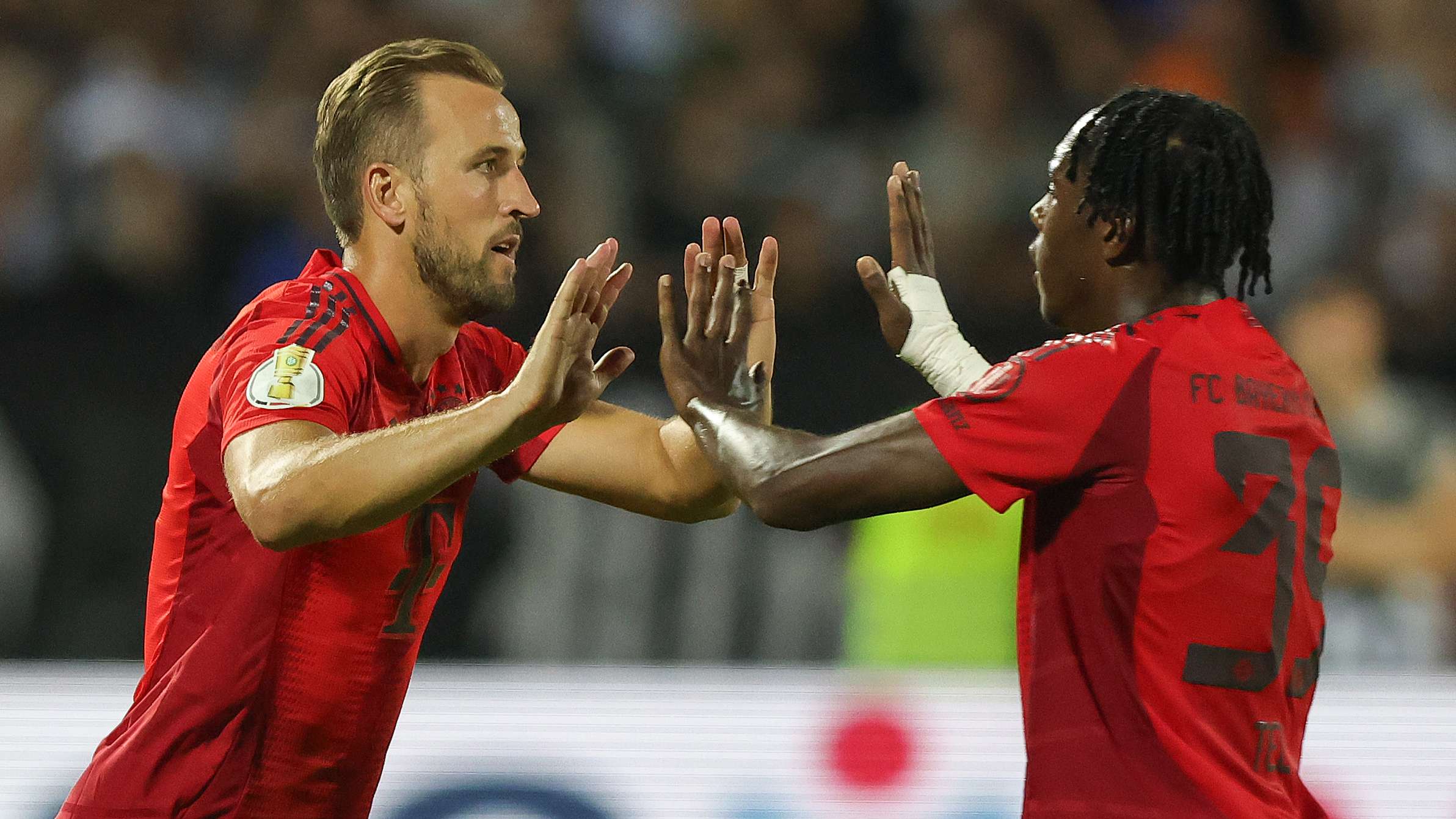 蘭德爾的蛻 蘭德爾的蛻