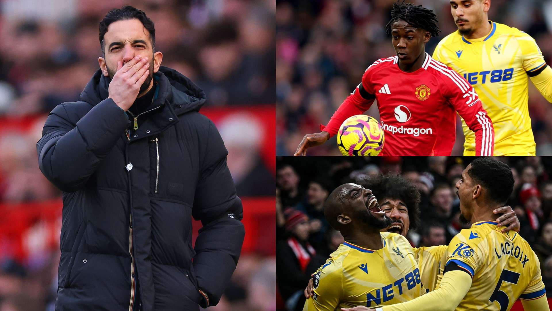 了丰富的话 了丰富的话